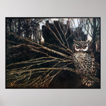 Witch in Owl Form Posters