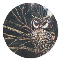 Witch in Owl Form Round Sticker