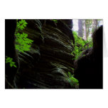 Witch's Gulch