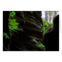 Witch's Gulch cards
