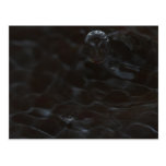 With big drop entering water postcards