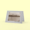 With deepest Sympathy - concolence card