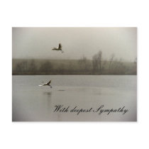 With deepest Sympathy postcards