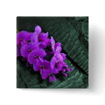 With dew buttons by RW_IMAGES With dew buttons