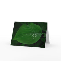 . . .With Diamonds cards by sukimerk . . .With Diamonds cards