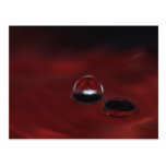 With double bubble there is red toilets postcards