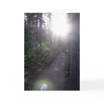 With light and love cards