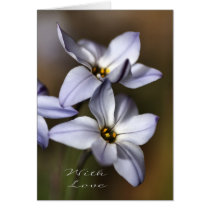 With Love - Floria cards