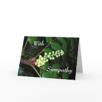 With Sympathy cards