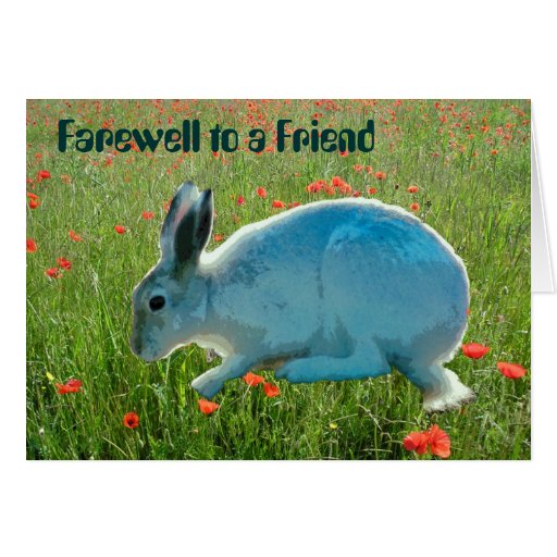 with-sympathy-loss-of-a-rabbit-card-zazzle