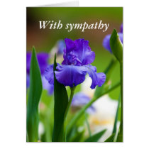 With sympathy purple iris greeting card cards