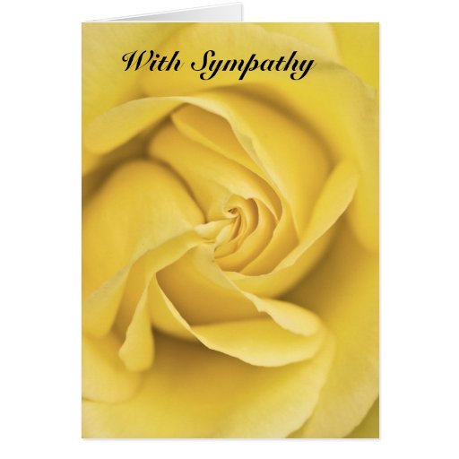 With Sympathy Yellow Rose Petals Greeting Card Zazzle