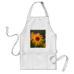 withered apron