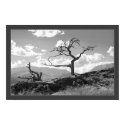 Withered Tree (Bordered) posters by UponInfinity Withered Tree (Bordered) posters
