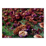 withering camellias greeting card
