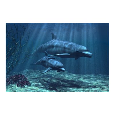 Within the Light Print by ckilmer