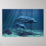 Within the Light Print