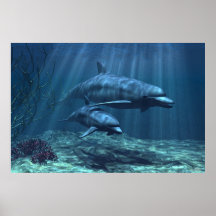 Within the Light Print
