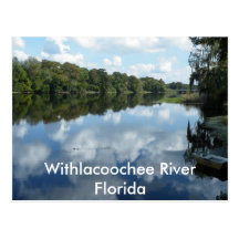 Withlacoochee River Postcard