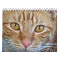 Without You_ Calendar_by Elenne Boothe