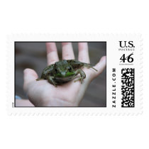 Without You I'd Croak Postage Stamp