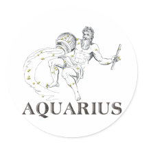 WITS: Aquarius stickers