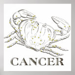 WITS: Cancer Print