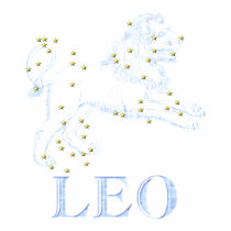 WITS: Leo t-shirts by nakedzealot WITS: Leo t-shirts