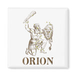 WITS: Orion magnets