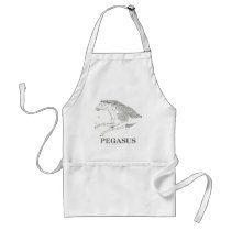 WITS: Pegasus aprons