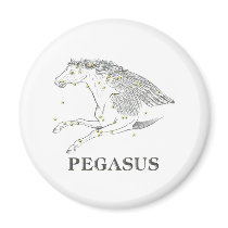 WITS: Pegasus Magnets