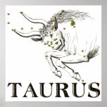 WITS: Taurus posters