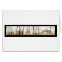 Wittenberg College OH Photo 1910 cards