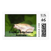 wittle froggy, Tropical frog Cairns Australia postage