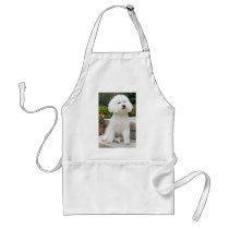 wiz1 aprons