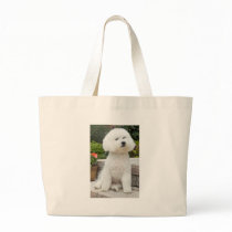 wiz1 canvas bags