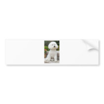 wiz1 bumper stickers