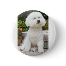 wiz1 pin