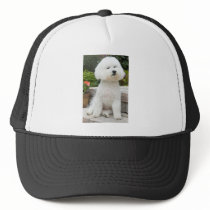 wiz1 hat