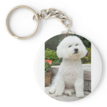 wiz1 keychains