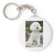 wiz1 keychains