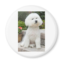 wiz1 fridge magnet