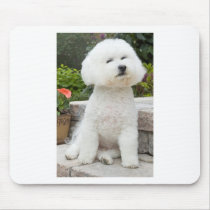 wiz1 mouse pad