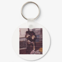 WIZ keychains by kathiscc WIZ keychains