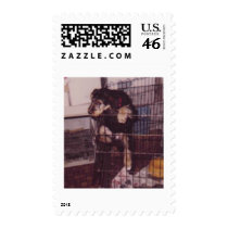 WIZ postage by kathiscc WIZ postage