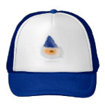 Wizard Critter hats