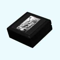 Wizard gift boxes