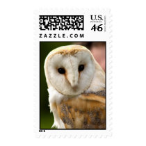 Wizard Post postage by Morice Wizard Post postage