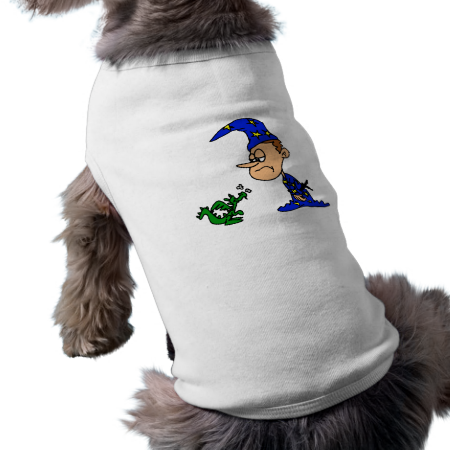 Wizard training dragon pet clothes Wizard training dragon pet clothes