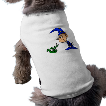 Wizard training dragon pet clothes